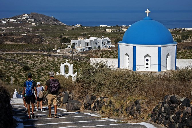 Santorini : Cooking Class & Easy Hike - Reviews and Ratings