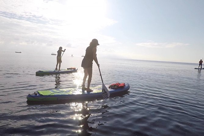 Santorini Stand-Up Paddle and Snorkel Adventure - Inclusions and Services