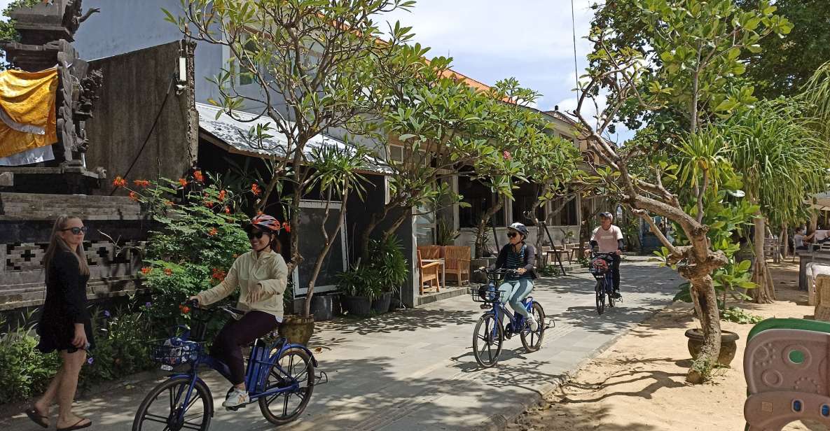 Sanur Village & Turtle Sanctuary E-Bike Tour - Key Points