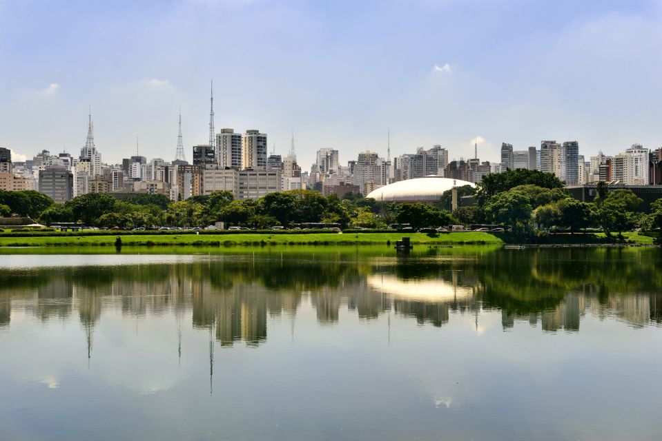 São Paulo: Full-Day Guided City Tour From the Port of Santos - Key Points