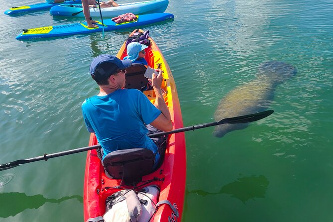 Sarasota: Lido Mangrove Tunnels Kayaking Tour - Just The Basics