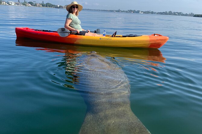 Sarasota Mangroves Kayaking Small-Group Tour (Mar ) - Just The Basics