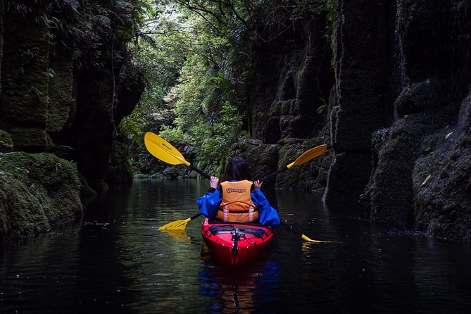 Scenic Lake McLaren Kayak Tour - Key Points