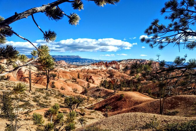 Scenic Tour of Bryce Canyon - Just The Basics