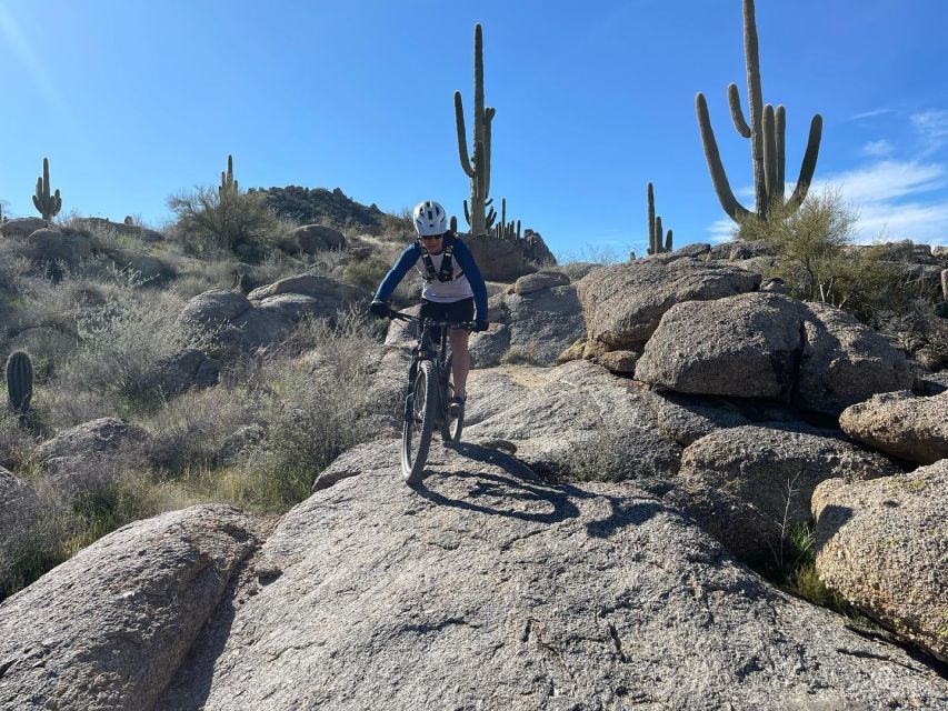 Scottsdale, AZ Private Guided Desert Mountain Bike Tours - Key Points