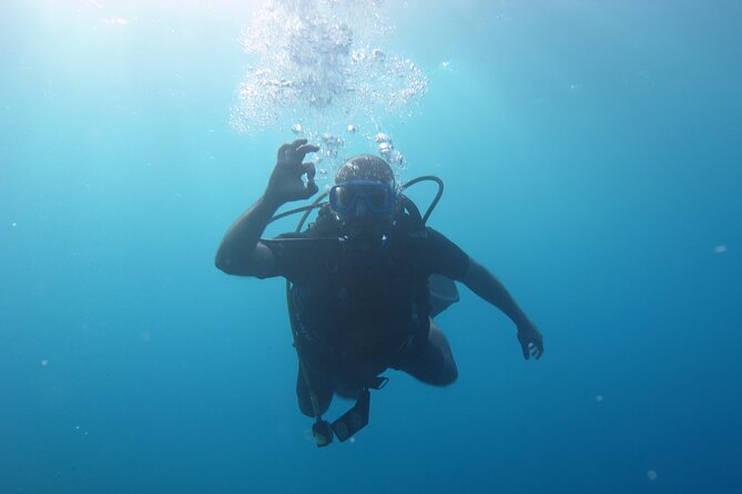 Scuba Diving Adventure in Santorini - Just The Basics
