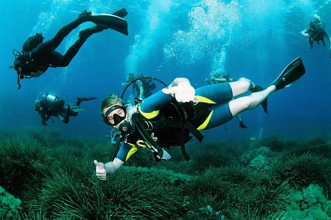 Scuba Diving Baptism and Snorkeling in Ibiza - Just The Basics