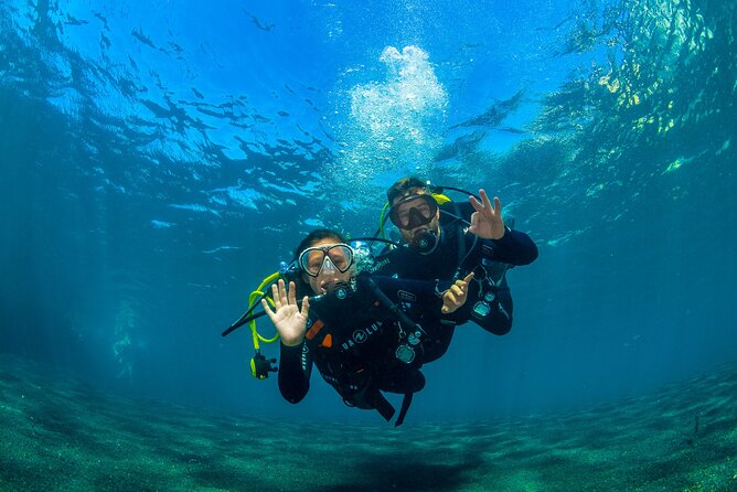 Scuba Diving Baptism Experience in Santa Cruz Tenerife - Overview of Scuba Diving Baptism