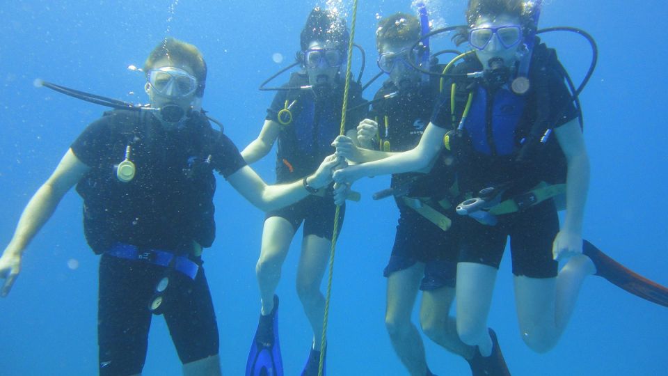 Scuba Diving Tour With Transfer From Alanya and City of Side - Key Points