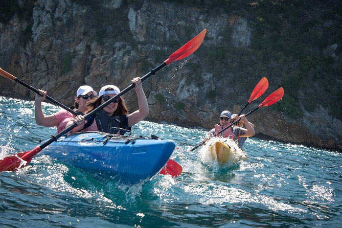 Sea Kayaking in Navarino Bay - Just The Basics