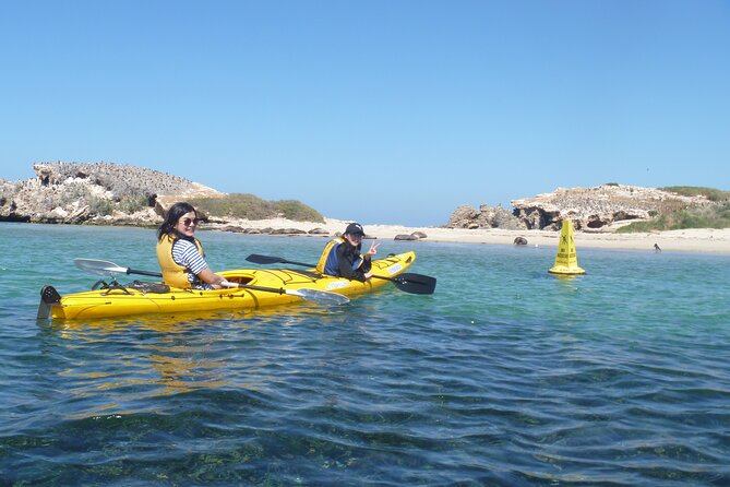 Seal Island and Penguin Island or Point Peron Sea Kayak Tour - Key Points