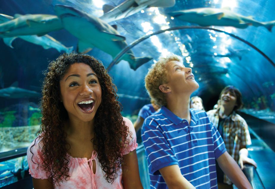 SeaWorld Orlando: Park Admission Ticket - Key Points