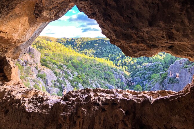 See a 2,000-Year-Old Roman Viaduct: Private Tour From Valencia - Tour Highlights