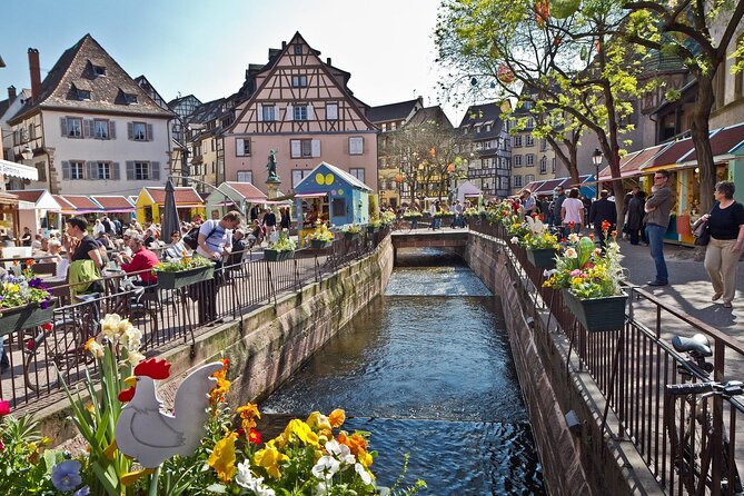 Segway Tours 2h in Colmar - Just The Basics