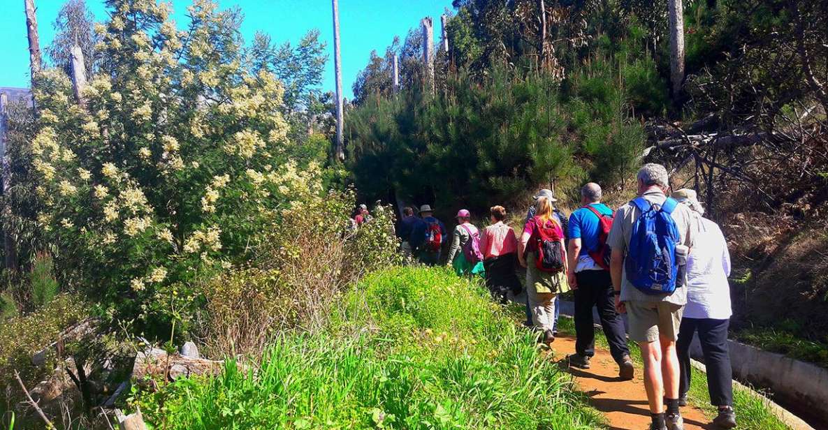 Serra De Água Valley Levada Walk - Key Points