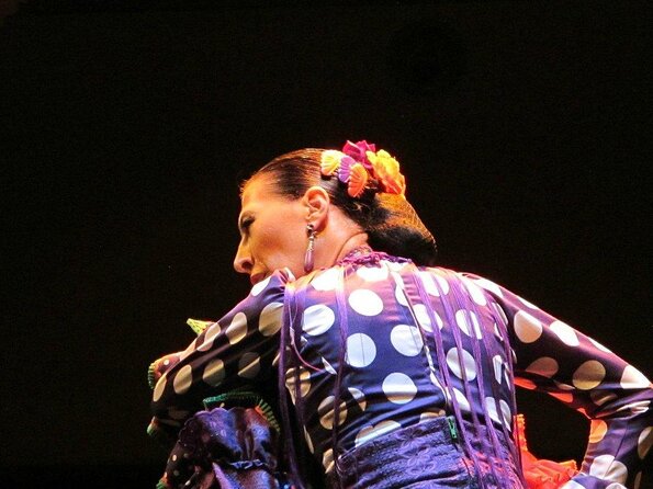 Seville Combined Ticket: Flamenco Show Visit to the Flamenco Dance Museum - Just The Basics