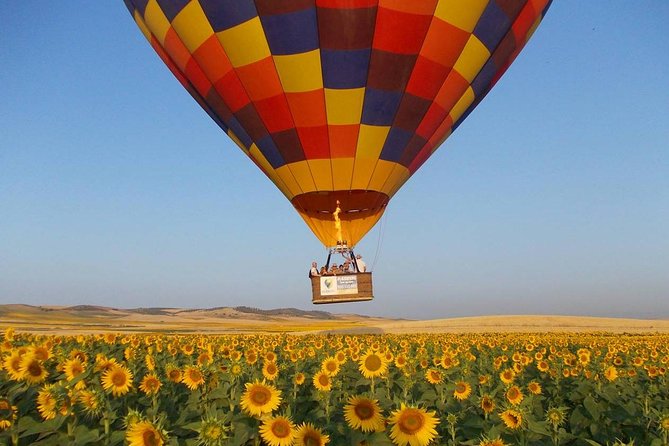 Seville Hot-Air Balloon Ride With Breakfast, Cava & Hotel Pick up - Just The Basics