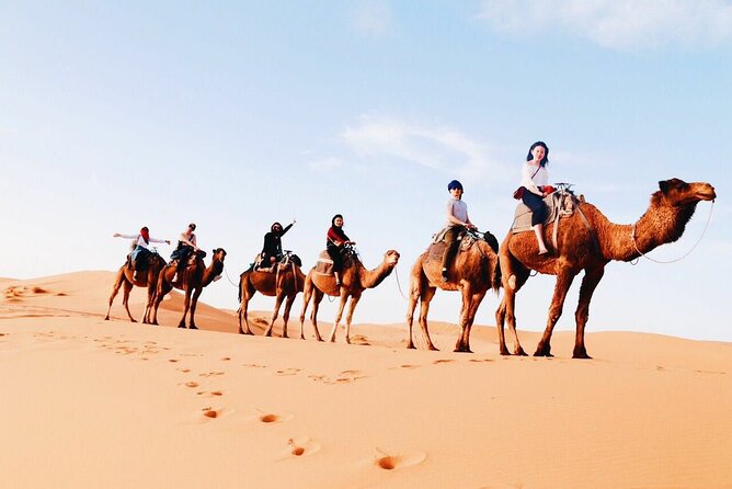 Shared Group 3 Days/2Nights: Fez to Marrakech Sahara Tour - Key Points