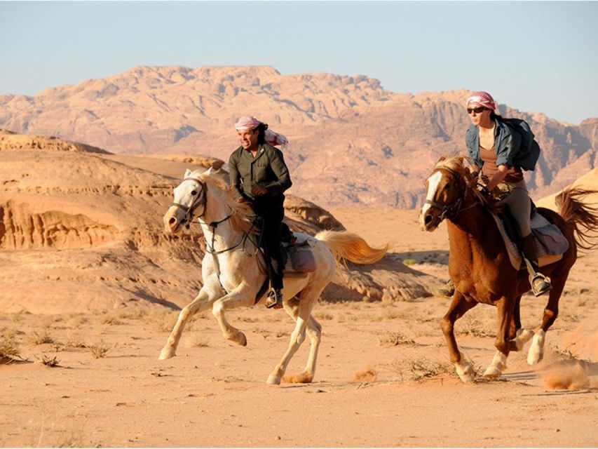 Sharm: Arabian Adventure Horse Ride & Camel Ride W Breakfast - Key Points