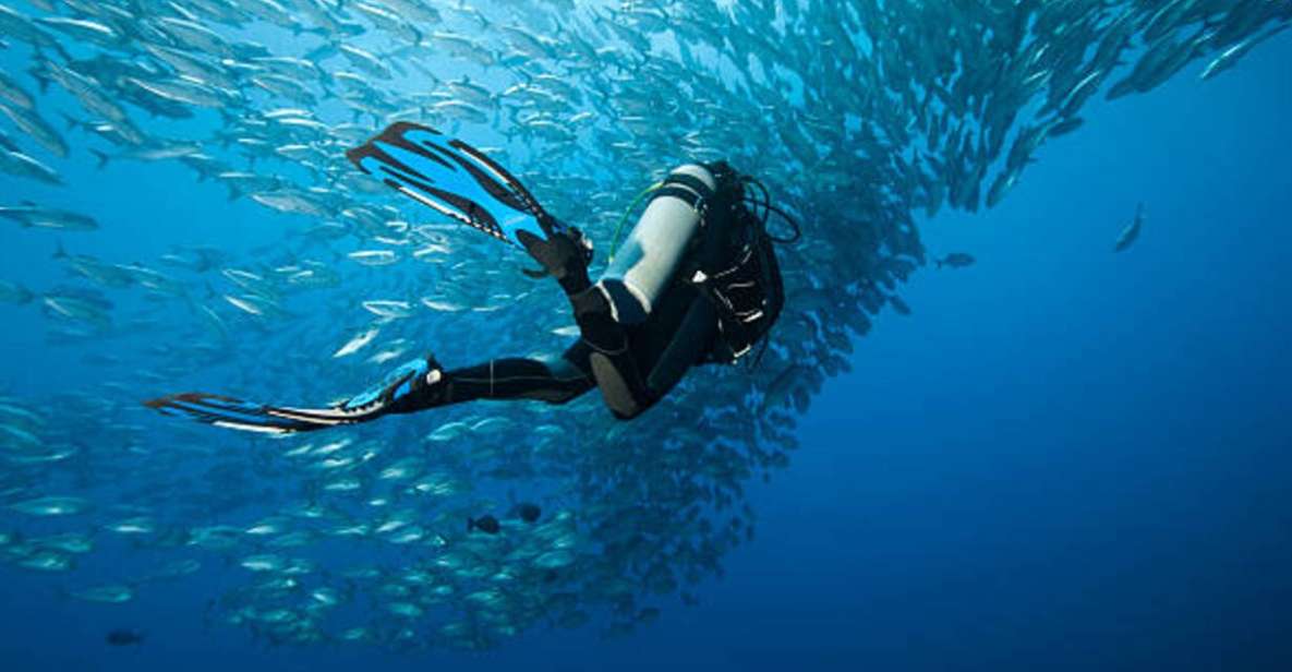 Sharm El Sheikh: 4-Day PADI Open Water Diver Course - Key Points