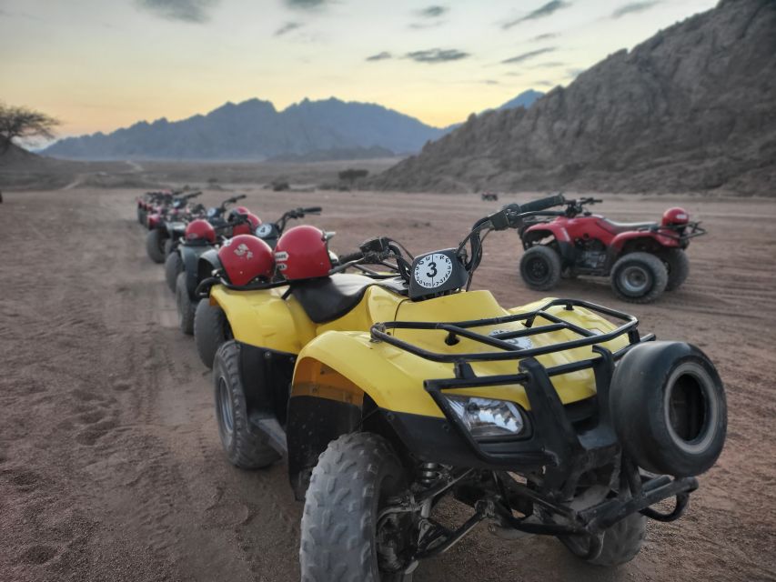 Sharm El Sheikh: ATV, Bedouin Tent With BBQ Dinner and Show - Key Points