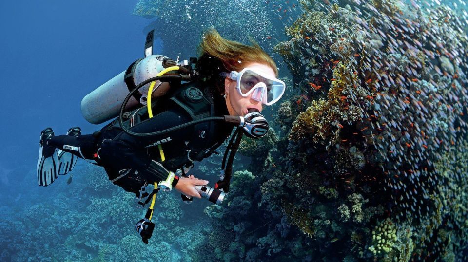 Sharm El Sheikh: Diving Day Trip by Boat at Ras Mohamed - Key Points