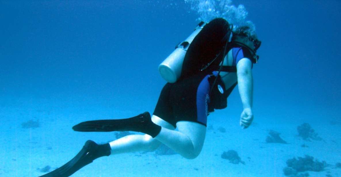 Sharm El-Sheikh: Guided Shore Scuba Diving at 2 Dives - Key Points