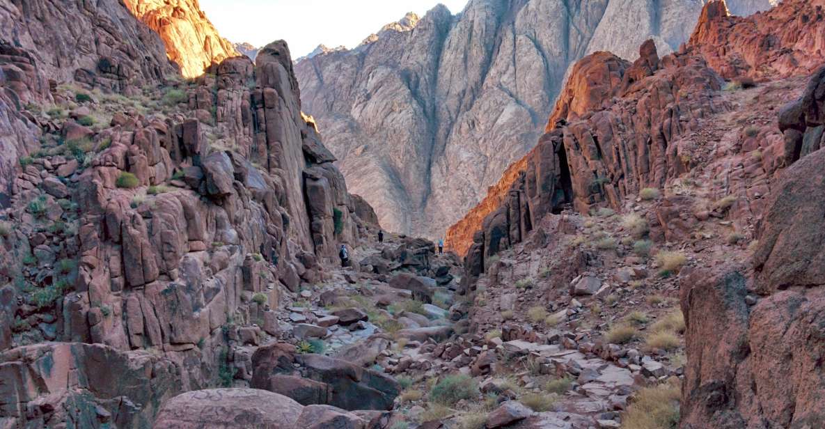 Sharm El Sheikh: Mount Sinai & Monastery Tour - Key Points