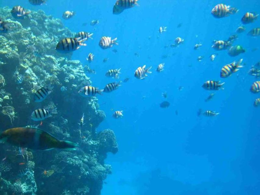 Sharm El-Sheikh: Panoramic Glass Bottom Boat Adventure - Activity Details