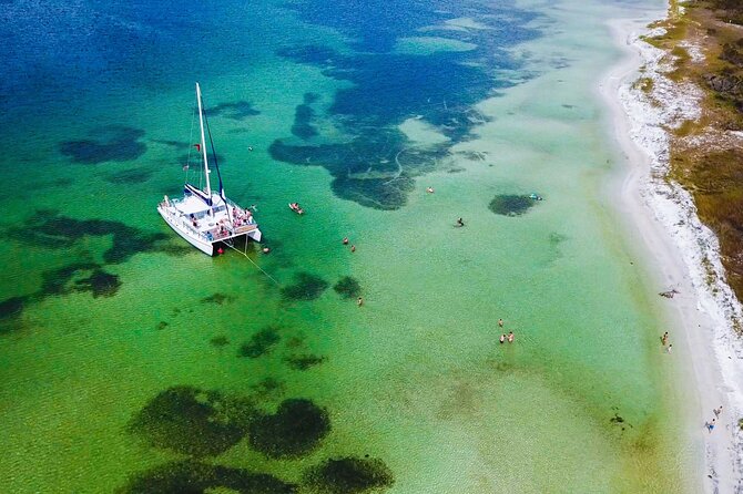 Shell Island Snorkel and Dolphin Catamaran Cruise With Island Time - Good To Know