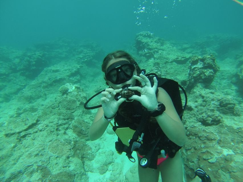 Shore Discover Scuba Diving Experience - Key Points