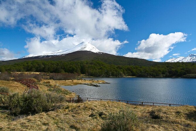 Shore Excursion - National Park Tierra Del Fuego - Key Points