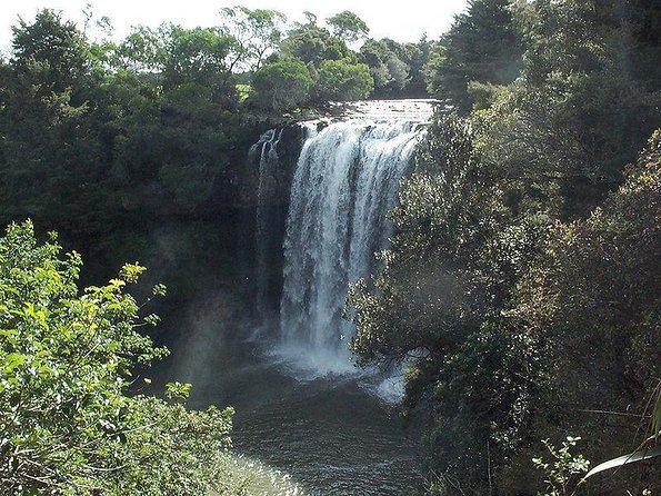 Shore Excursion To Historic Kerikeri Including Lunch - Key Points