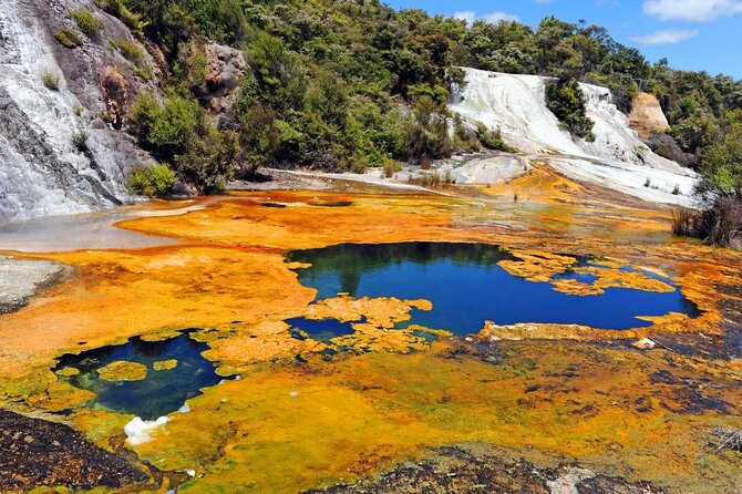 Short Rotorua Scenic Helicopter Flight and Walking Tour - Key Points