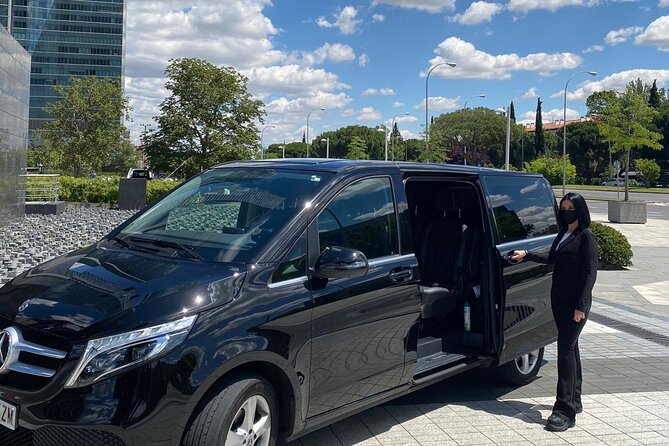 Shuttle Transfer Arrivals: Madrid Airport to City Center - Key Points
