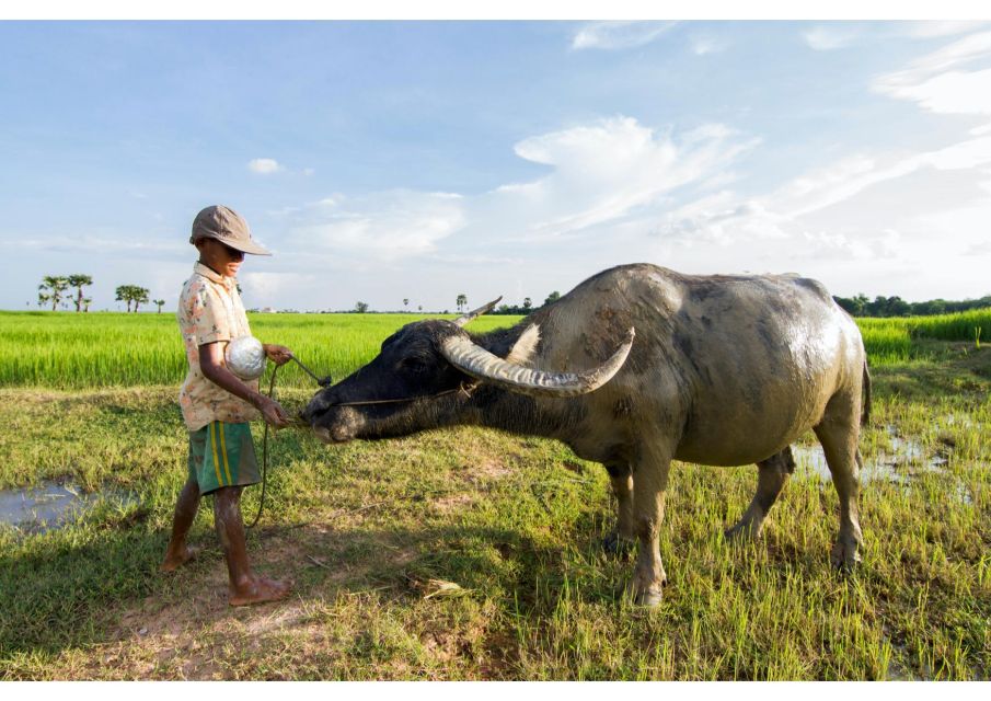 Siem Reap: Afternoon Cooking Class & Village Tour - Key Points