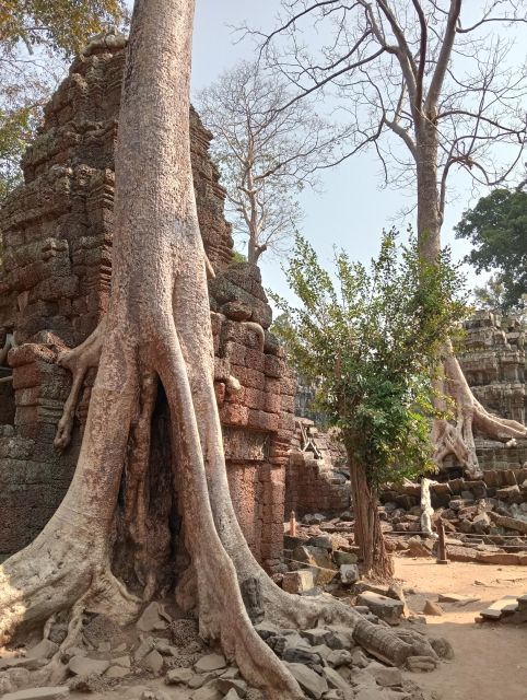 Siem Reap: Angkor 1 Day With a Russian-Speaking Guide - Key Points