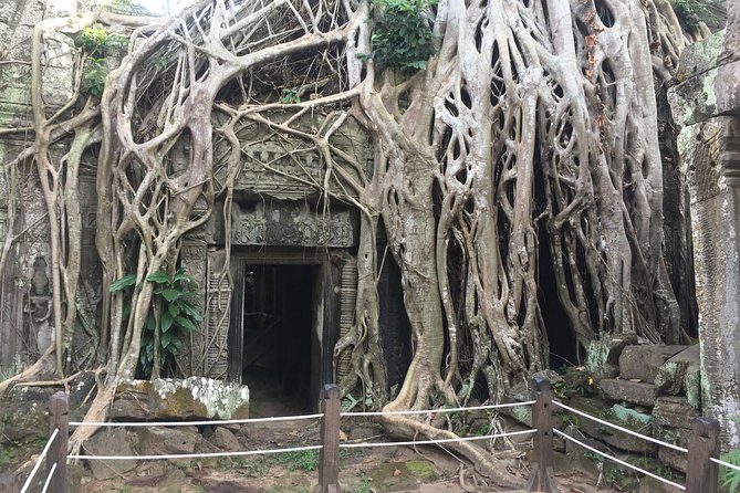 Siem Reap Angkor 2-Day Tour
