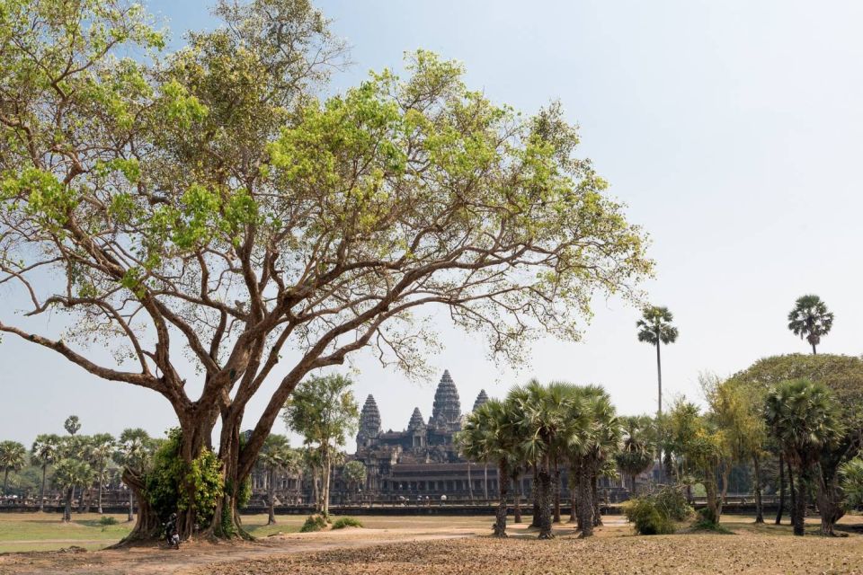 Siem Reap: Angkor Wat Small-Group Historical Day Tour - Key Points