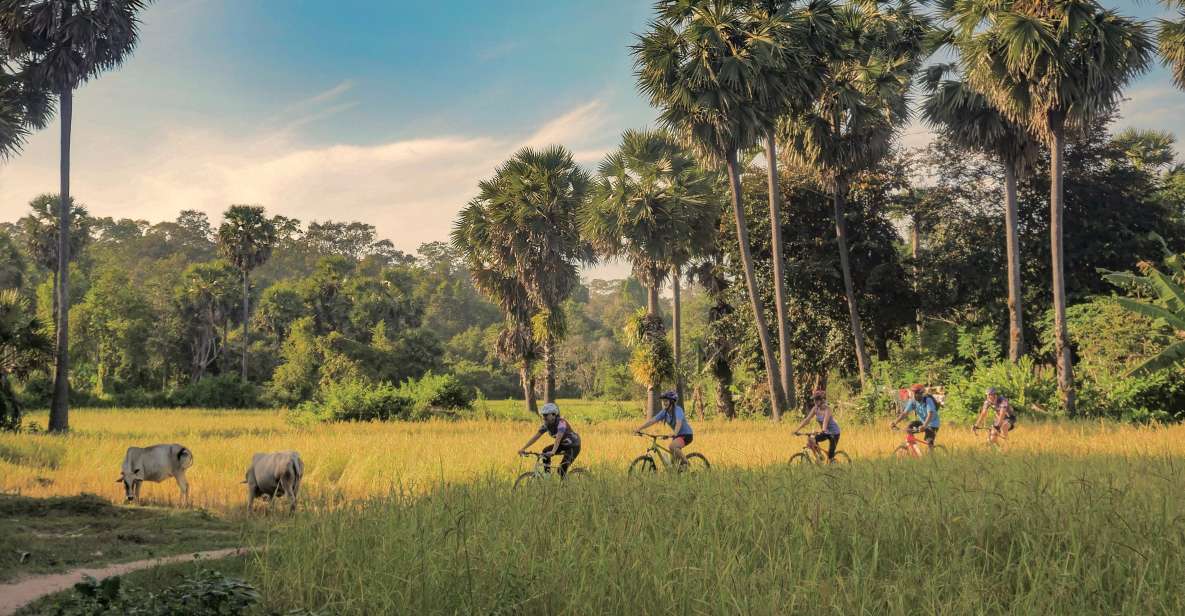 Siem Reap: Countryside Bike Tour With Guide and Local Snacks - Key Points