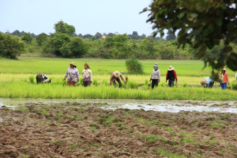 Siem Reap: Kulen Mountain Waterfall & Beung Mealea Temple - Key Points