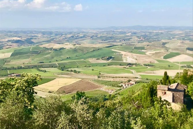 Siena, San Gimignano & the Chiantiside Private Tour With Mercedes V Class Van - Key Points