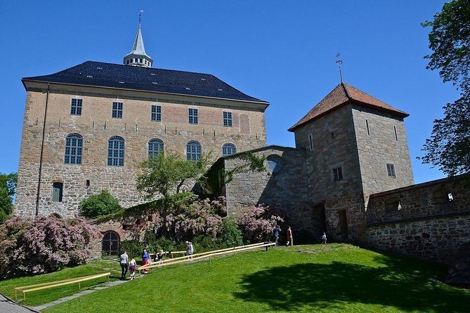 Sightseeing Private Tour of Oslo and Viking Ship Museum - Tour Overview