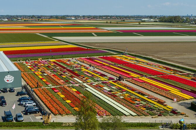 Sightseeing Tour to Keukenhof Tulip Gardens Fields and Giethoorn From Amsterdam - Tour Overview