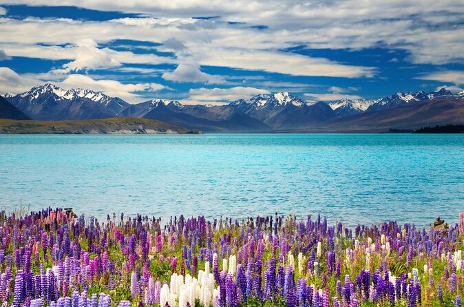 Sightseeing Transfer: Christchurch–Queenstown via Mount Cook (Apr ) - Key Points
