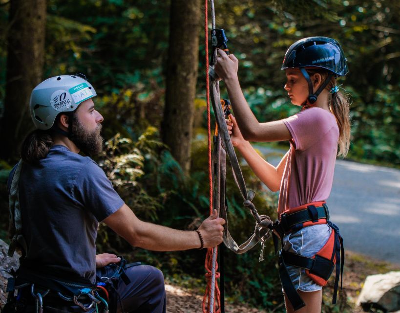 Silver Falls: Old-Growth Tree Climbing Adventure - Key Points