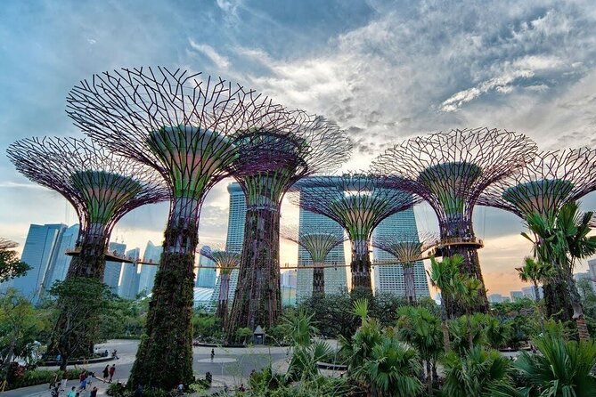 Singapore Full-Dy Private Customizable Tour Including Lunch