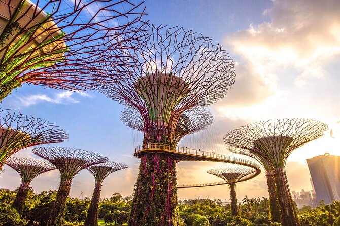 Singapore Private Mercedes City Tour With GBB and Skypark - Key Points