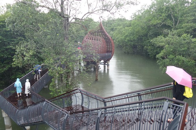 Singapore Private Sungei Buloh Wetland Reserve Tour - Key Points