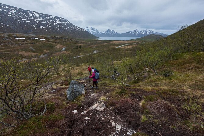 Small Group Citizen Science Hike in Tromso - Event Details